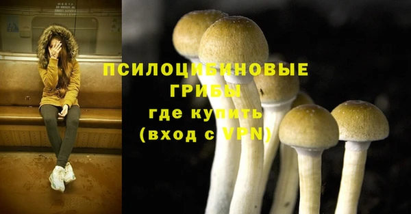 индика Кодинск