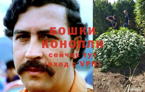 бошки Козловка