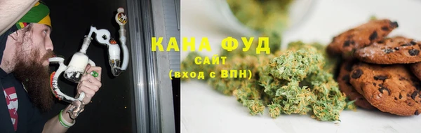индика Кодинск