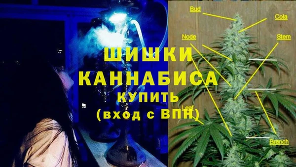 бошки Козловка
