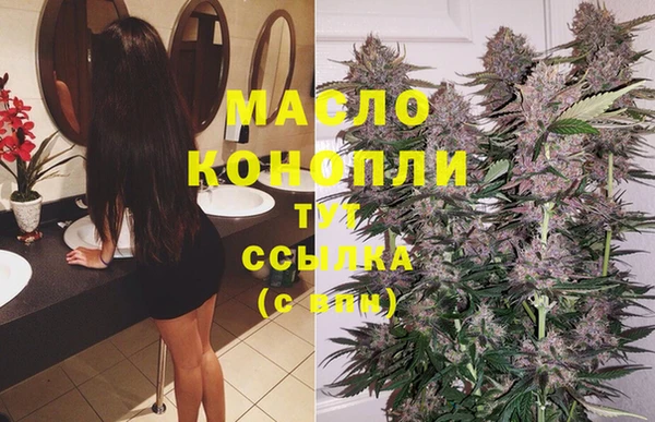 индика Кодинск
