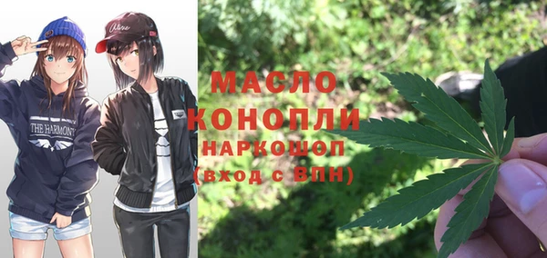 индика Кодинск