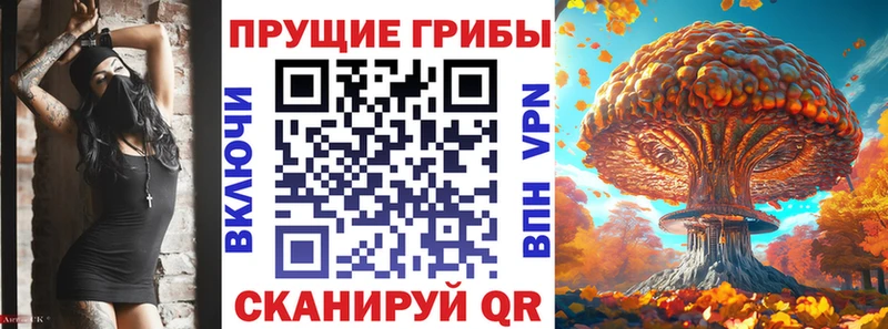 Галлюциногенные грибы GOLDEN TEACHER Купить закладки Артёмовский